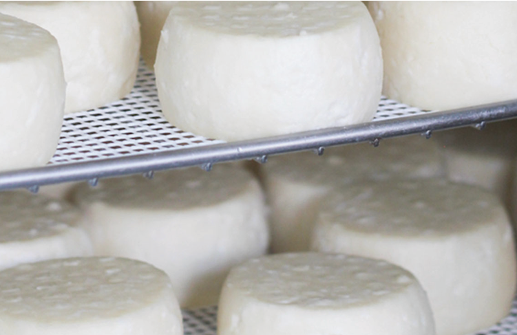Produtores do Ribatejo