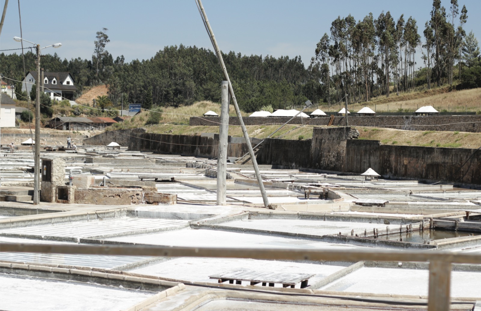 Produtores do Ribatejo