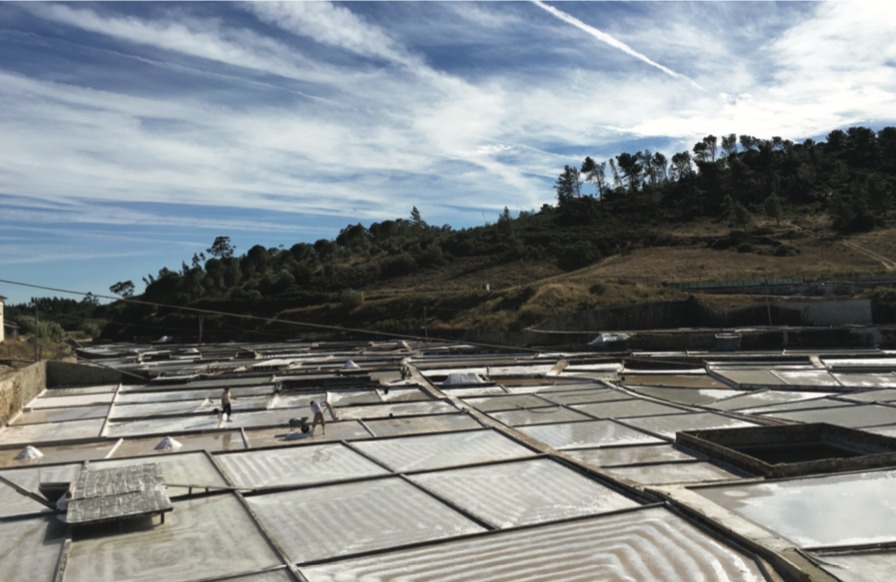 Produtores do Ribatejo